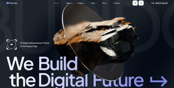 Burido - Minimal Multipurpose WordPress Theme