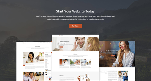 Top Selling Business WordPress Themes
