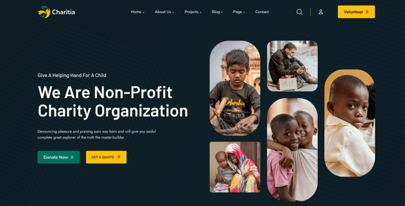 Charitia - Charity & Donation HTML Template Multipurpose