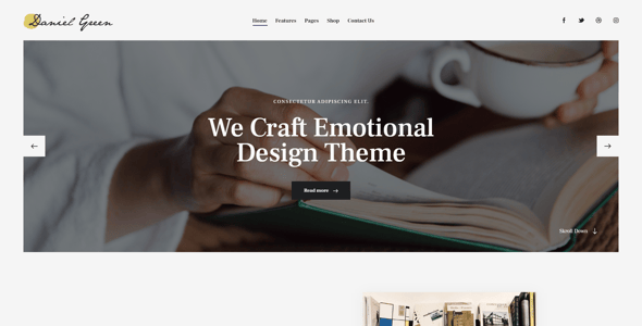 Writer - Journalist & Autho Blog Book WordPress Theme