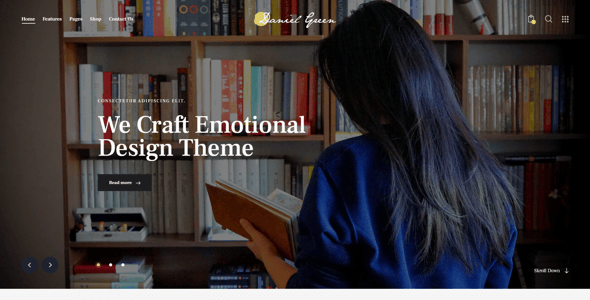 Writer - Journalist & Autho Blog Book WordPress Theme