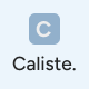 Caliste – Personal Portfolio CV & Resume Gutenverse FSE WordPress Theme - ThemeForest Item for Sale
